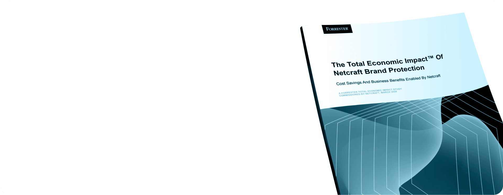 The total economic impact of Netcraft brand protection book