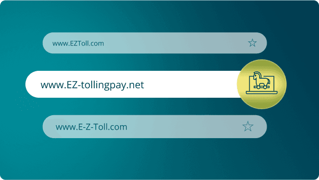 fake payment portals